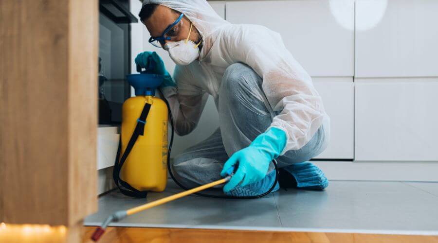 Professional pigeon control systems services in McMurray - Pigeon Control Systems McMurray